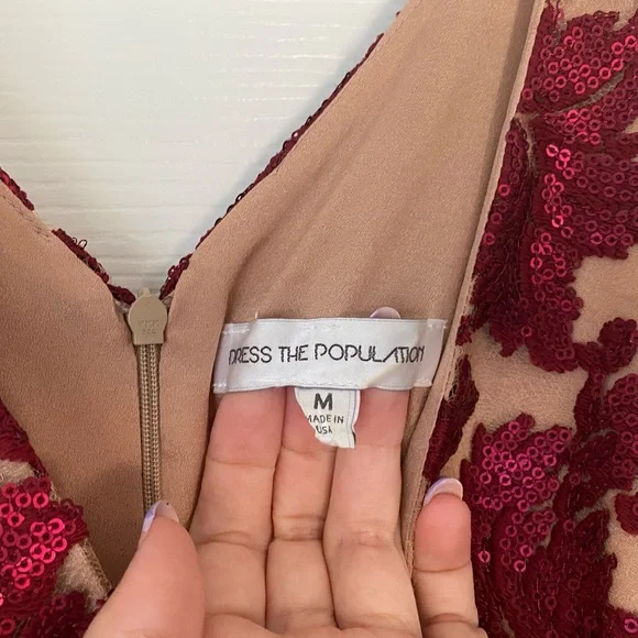 Dress the Population - Karen Plunging Lace Gown - Red - Size M - Picture 5 of 16